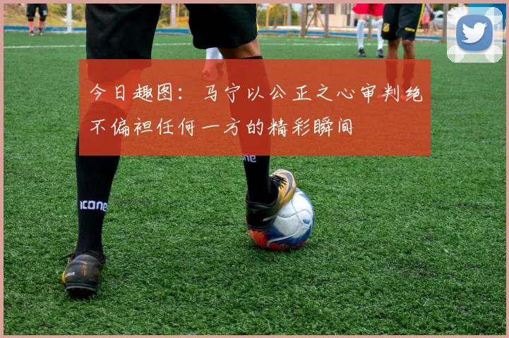 今日趣图：马宁以公正之心审判绝不偏袒任何一方的精彩瞬间